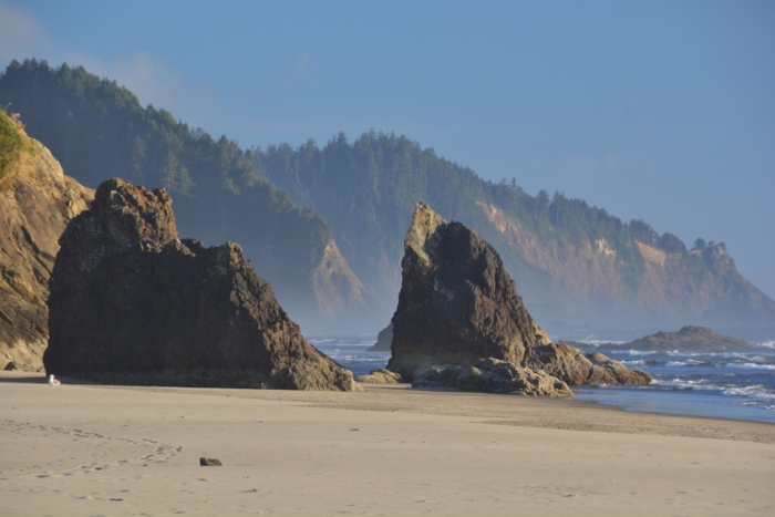 Hug Point Beach